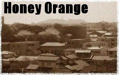 Honey Orange